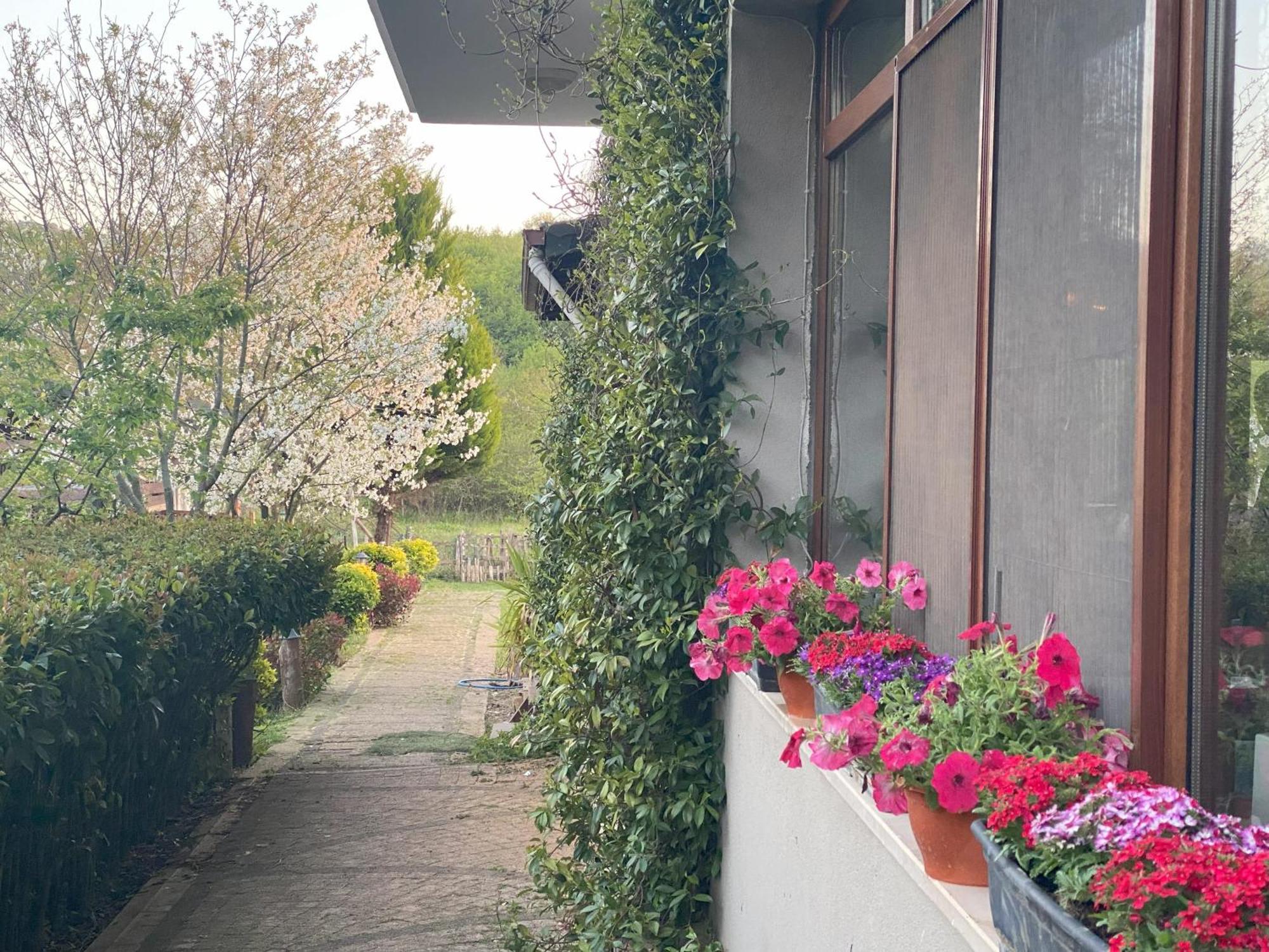 Kerpe Diem Otel Exterior foto