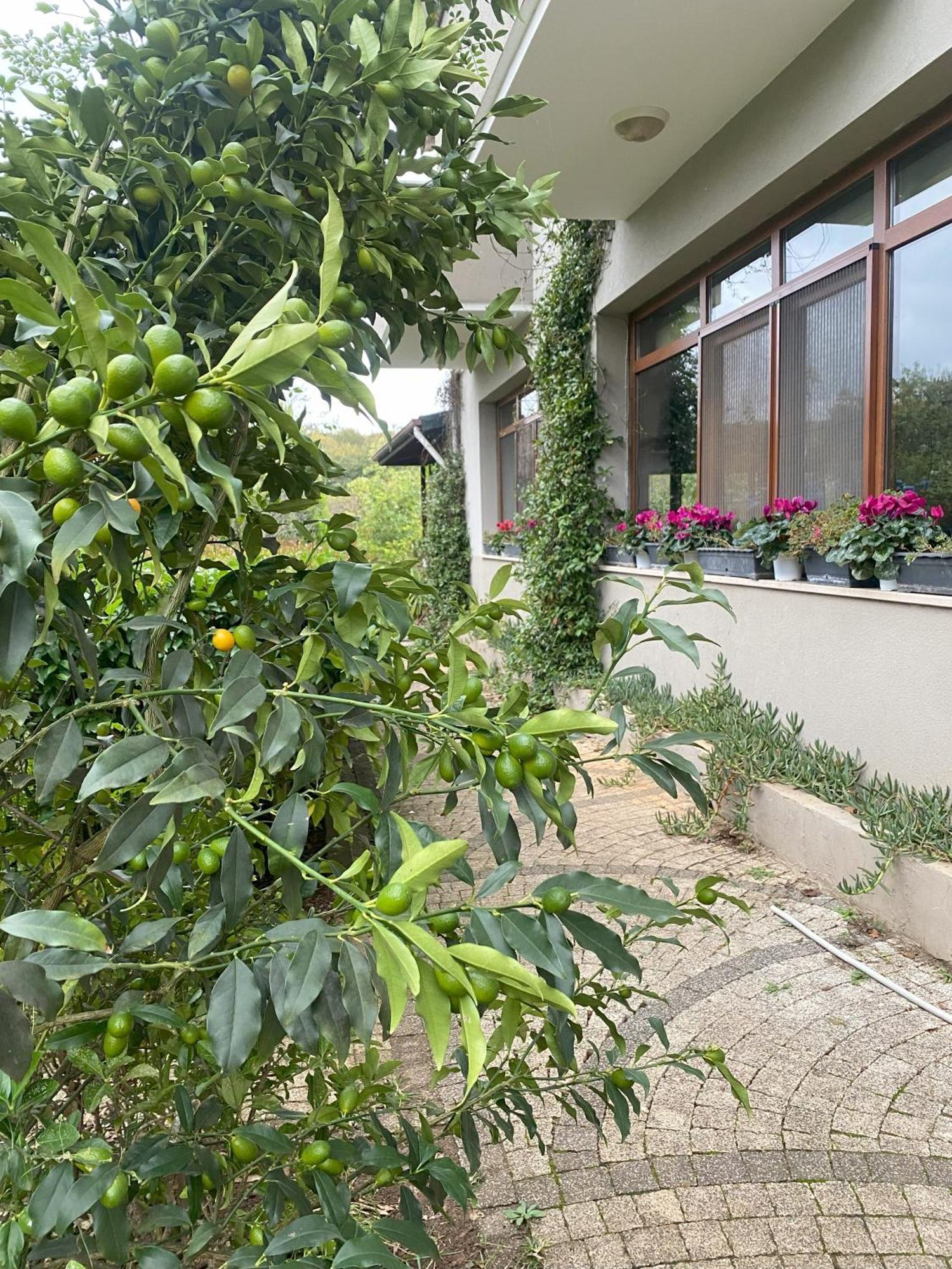 Kerpe Diem Otel Exterior foto